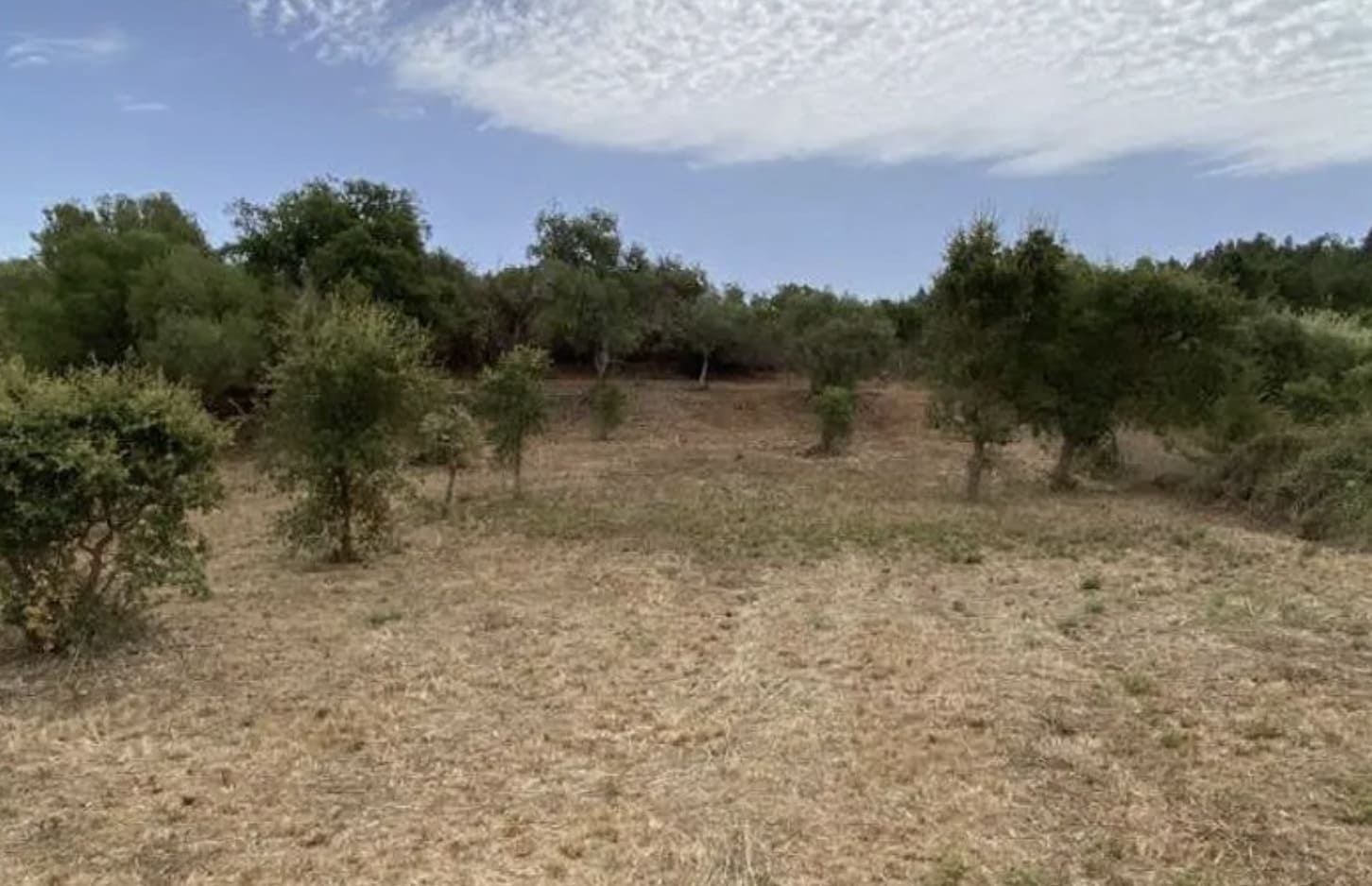 Land in Aljezur, Faro District, Portugal