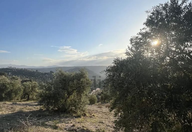 Land in Camino de Beas, Spain